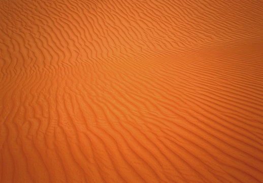 sahara