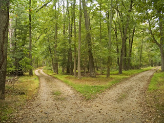 Obraz premium two paths