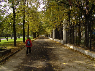 walk in a park