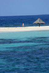 Fototapeta premium ile morpion grenadines