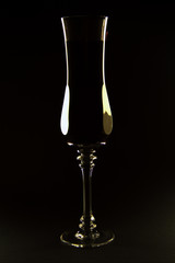 Tall Champagne Flute on Black