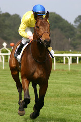 jockey et son cheval