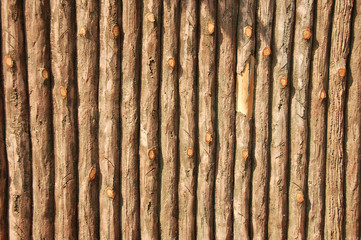 false wooden wall