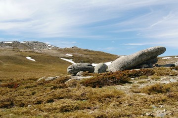 campagne corse