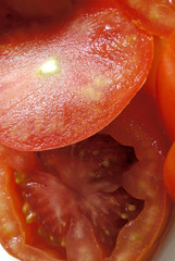 les legumes de mon potager