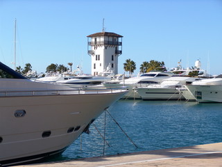 punta negra