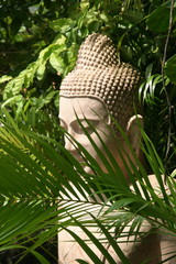 palm tree partly covered status of buddha