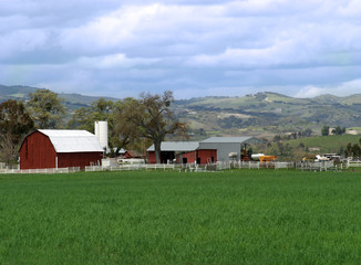 farmland © judwick