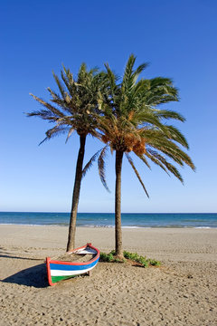 colourful rowing boat and palm trees on beach