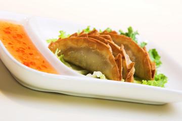 pork and chicken dumplings