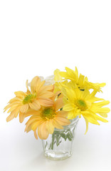 group of flowers in a glass vase