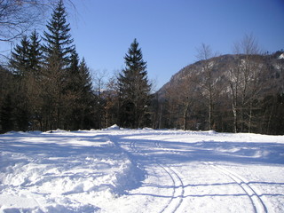 winterlanschaft in kärnten