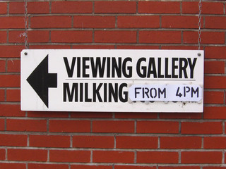 Fototapeta na wymiar milking gallery sign