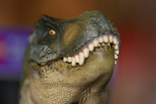 joe dinosaur