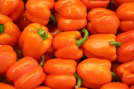 Vegetable - Orange Bell Pepper