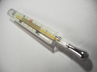 specialist thermometer 2