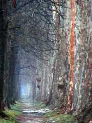 Obraz premium infinite