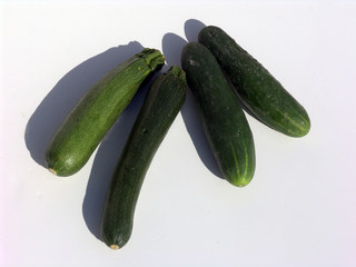 cucumber