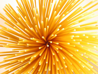 prickly spaghetti - obrazy, fototapety, plakaty