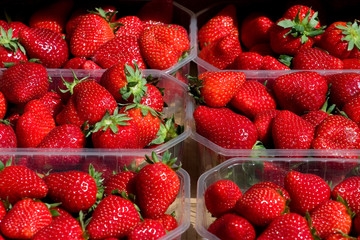 sunny strawberries