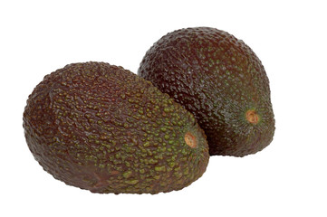 avocat