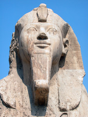 the memphis sphinx, egypt