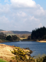 llynnau mymby