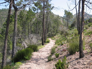 chemin du mont vinaigre