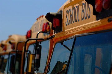 row of yellow school buses
