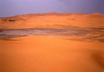 Foto op Canvas sahara désert © JONATHAN
