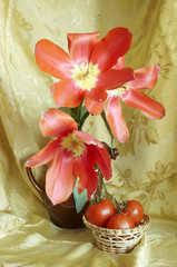 still life with tulip