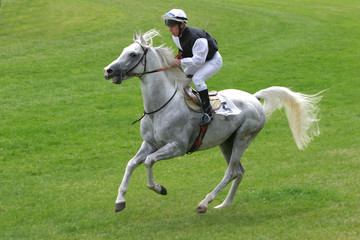 horse racing