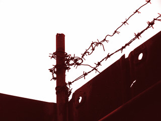 barbed wire