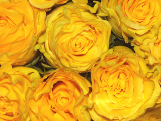 Un bouquet de roses orangées