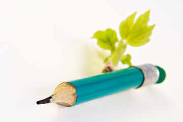 second life of a pencil