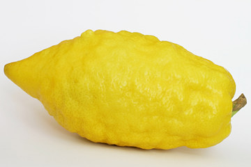 jewish citron