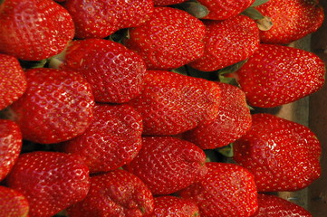fraises
