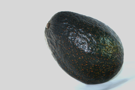 avocat
