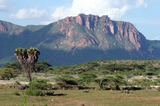 paysage de samburu