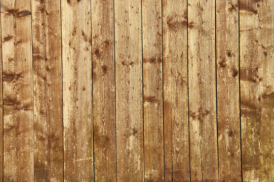 fence
