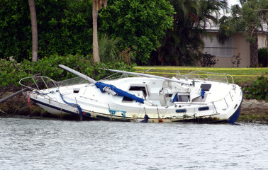 hurrican leftovers