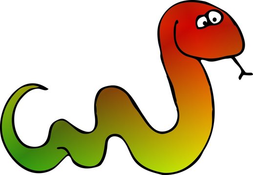 multicolored snake