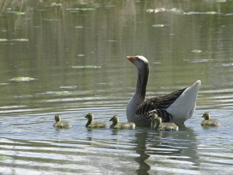 family outing 3