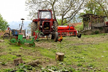 Obraz premium farm yard