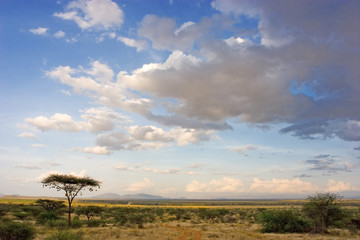 Plakat afrykański krajobraz