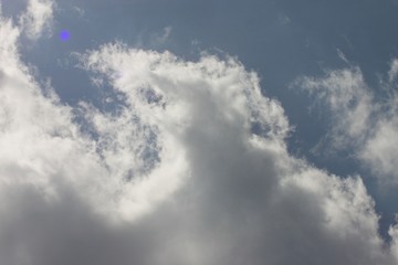 Obraz premium frühlingssonne