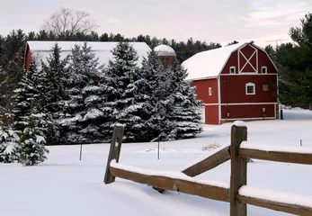 Poster de jardin Hiver winter farm scene  © Steven Pepple