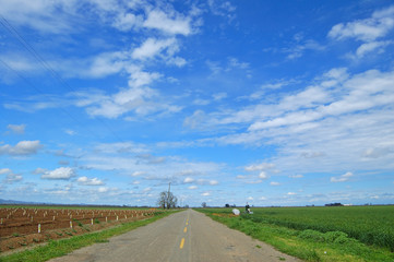country road