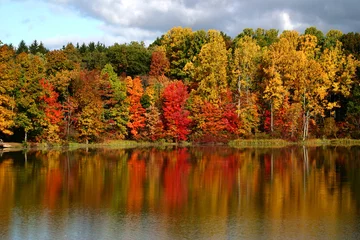Fotobehang reflections of fall © rxr3rxr3