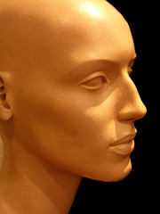 profil mâle